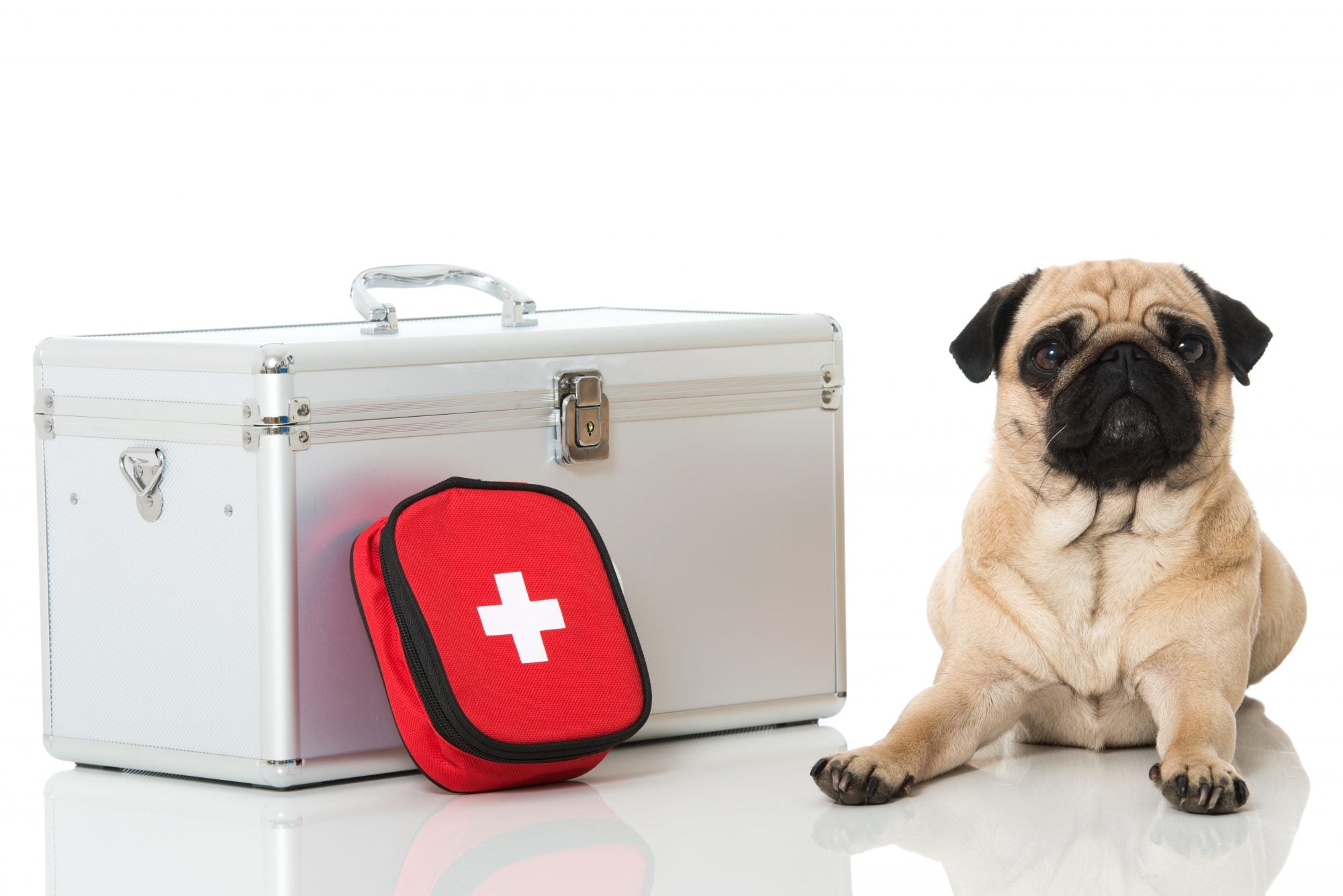 Pets First Aid Kits